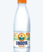 PET 300ml com gás Lindoya Verão