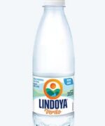 PET 300ml sem gás Lindoya Verão