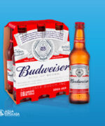 Cerveja Budweiser long neck 330ml