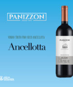 Ancellota Panizzon